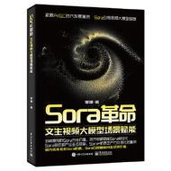 Sora革命：文生视频大模型场景赋能【pdf+epub】