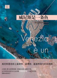 迷失在水城的诗意旅程：