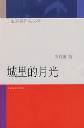 《城里的月光》：上海浦东平凡夫妻的生活剪影