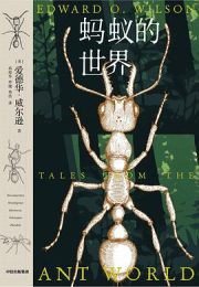 探索微观世界的奇迹：《蚂蚁的世界》