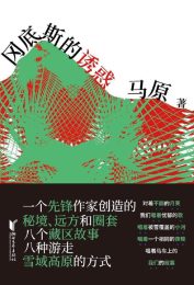 冈底斯的诱惑|马原