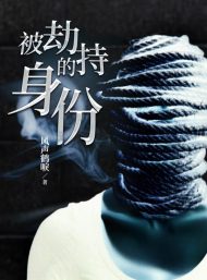 被劫持的身份|风声鹤唳