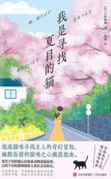 我是寻找夏目的猫|白野猫咪