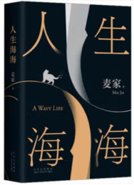 人生海海|麦家