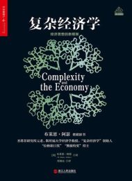 复杂经济学：经济思想的新框架