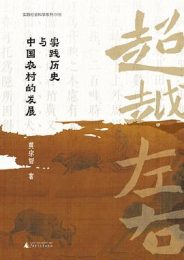 超越左右：实践历史与中国农村的发展｜黄宗智