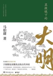 显微镜下的大明｜马伯庸