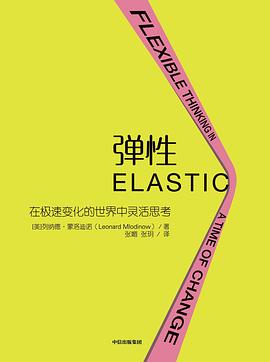 弹性：在极速变化的世界中灵活思考