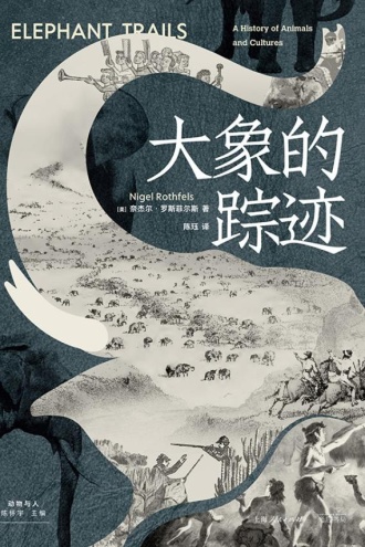 大象的踪迹 -1