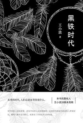 黑铁时代|王小波