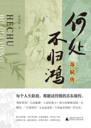 何处不归鸿：苏轼传