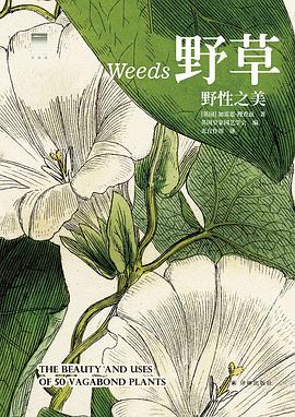 野草：野性之美