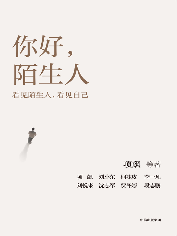 你好，陌生人- 项飙-探索现代社会的人际连接 图书封面