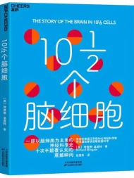 10½个脑细胞