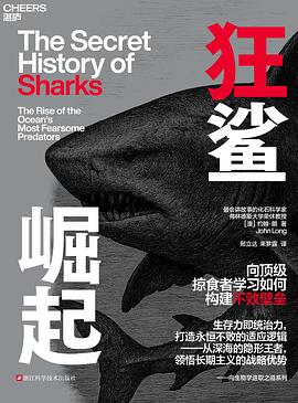 狂鲨崛起 1 狂鲨崛起