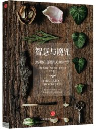 智慧与魔咒：塔勒布的黑天鹅哲学