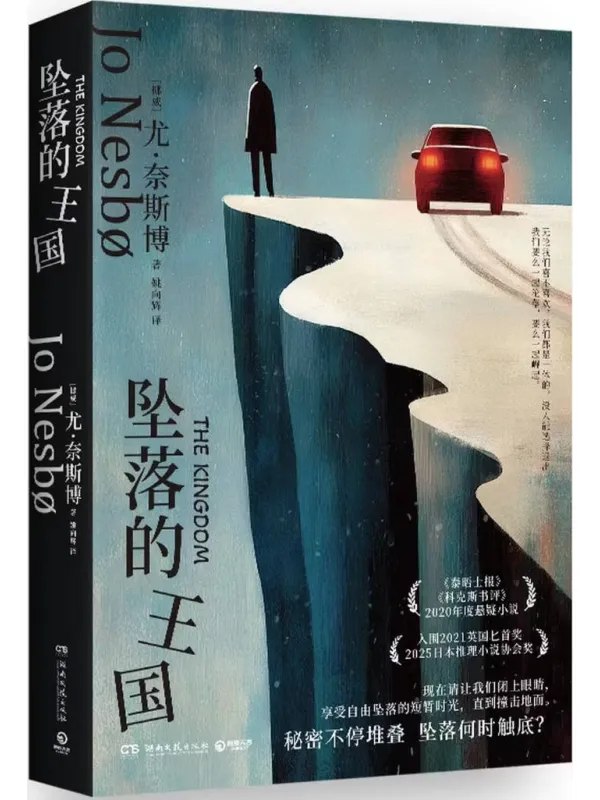 坠落的王国封面