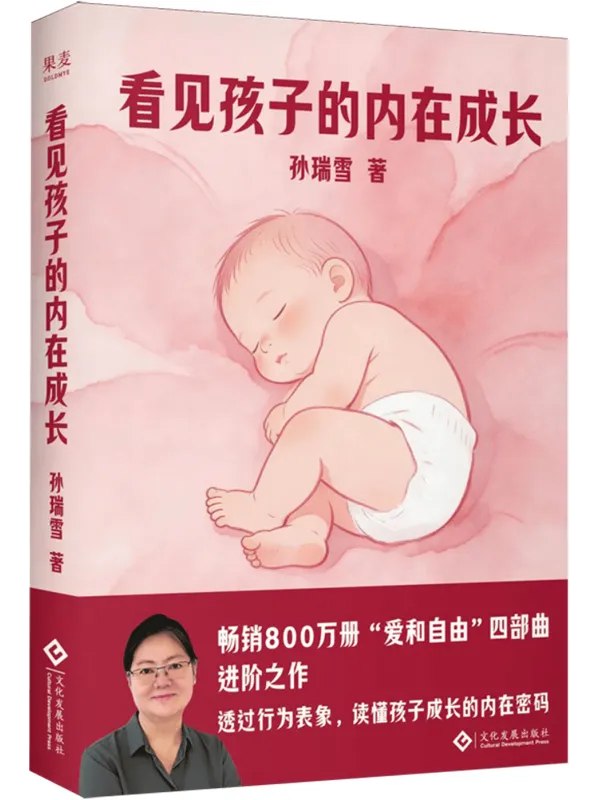 看见孩子的内在成长图书封面