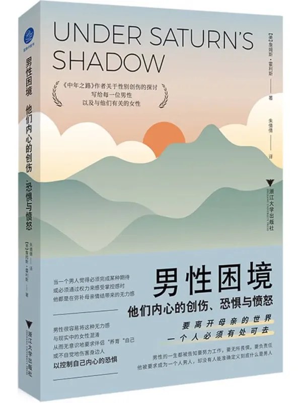 男性困境图书封面