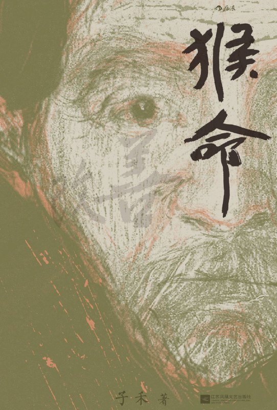 猴命图书封面