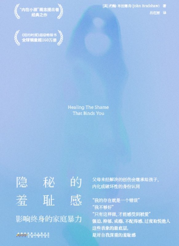 隐秘的羞耻感:影响终身的家庭暴力图书封面