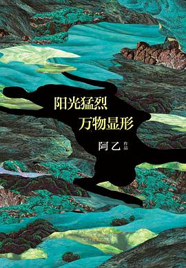 阳光猛烈，万物显形图书封面