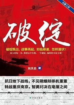 破绽图书封面